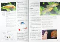 DEN STORA AKVARIEGUIDEN &ndash; Fiskar, v&auml;xter och tillbeh&ouml;r