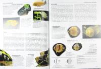 DEN STORA AKVARIEGUIDEN &ndash; Fiskar, v&auml;xter och tillbeh&ouml;r