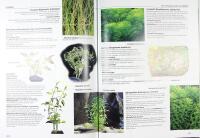 DEN STORA AKVARIEGUIDEN &ndash; Fiskar, v&auml;xter och tillbeh&ouml;r