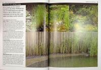 BAMBU OCH GR&Auml;S &ndash; V&auml;lja, plantera och sk&ouml;ta