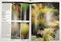 BAMBU OCH GR&Auml;S &ndash; V&auml;lja, plantera och sk&ouml;ta