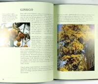 BOTANS F&Ouml;RSTA 322 &Aring;R &ndash; Lunds universitets botaniska tr&auml;dg&aring;rd