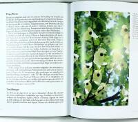 BOTANS F&Ouml;RSTA 322 &Aring;R &ndash; Lunds universitets botaniska tr&auml;dg&aring;rd