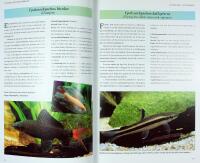 STORA AKVARIEGUIDEN &ndash; Tropiska s&ouml;tvattenfiskar &ndash; &Ouml;ver 200 fiskarter