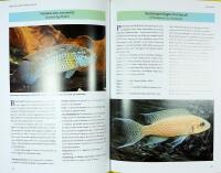 STORA AKVARIEGUIDEN &ndash; Tropiska s&ouml;tvattenfiskar &ndash; &Ouml;ver 200 fiskarter