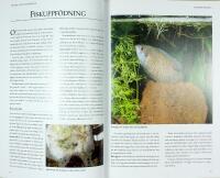 STORA AKVARIEGUIDEN &ndash; Tropiska s&ouml;tvattenfiskar &ndash; &Ouml;ver 200 fiskarter