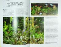 STORA AKVARIEGUIDEN &ndash; Tropiska s&ouml;tvattenfiskar &ndash; &Ouml;ver 200 fiskarter