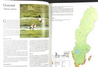 SVENSK F&Aring;GELATLAS &ndash; V&aring;r f&aring;gelv&auml;rld, supplement nr 31