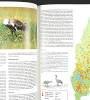 SVENSK F&Aring;GELATLAS &ndash; V&aring;r f&aring;gelv&auml;rld, supplement nr 31