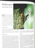 SVENSK F&Aring;GELATLAS &ndash; V&aring;r f&aring;gelv&auml;rld, supplement nr 31