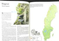 SVENSK F&Aring;GELATLAS &ndash; V&aring;r f&aring;gelv&auml;rld, supplement nr 31