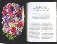 HYDRANGEAS &ndash; Beautiful Varieties for Home and Garden