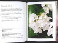 HYDRANGEAS &ndash; Beautiful Varieties for Home and Garden