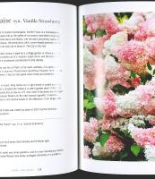 HYDRANGEAS &ndash; Beautiful Varieties for Home and Garden