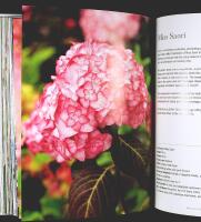 HYDRANGEAS &ndash; Beautiful Varieties for Home and Garden