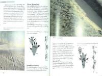 SP&Aring;RBOKEN &ndash; Sp&aring;r och sp&aring;rtecken efter d&auml;ggdjur och f&aring;glar