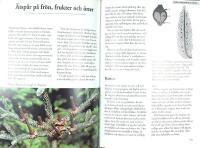 SP&Aring;RBOKEN &ndash; Sp&aring;r och sp&aring;rtecken efter d&auml;ggdjur och f&aring;glar