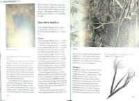 SP&Aring;RBOKEN &ndash; Sp&aring;r och sp&aring;rtecken efter d&auml;ggdjur och f&aring;glar