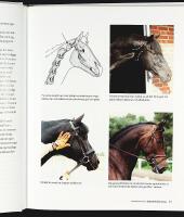 DRESSYR MED KYRA &ndash; Rid med system, logik och konsekvens