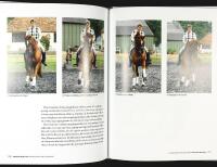 DRESSYR MED KYRA &ndash; Rid med system, logik och konsekvens