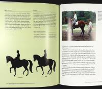 DRESSYR MED KYRA &ndash; Rid med system, logik och konsekvens