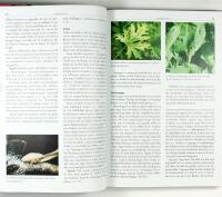 TR&Auml;DG&Aring;RDENS V&Auml;XTSKYDD &bull; Askskottsjuka &bull; Bladl&ouml;ss &bull; Frukttr&auml;dskr&auml;fta &bull; K&aring;lfj&auml;ril &bull; Potatisbladm&ouml;gel &bull; Sk&ouml;ldl&ouml;ss