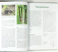 TR&Auml;DG&Aring;RDENS V&Auml;XTSKYDD &bull; Askskottsjuka &bull; Bladl&ouml;ss &bull; Frukttr&auml;dskr&auml;fta &bull; K&aring;lfj&auml;ril &bull; Potatisbladm&ouml;gel &bull; Sk&ouml;ldl&ouml;ss