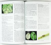 TR&Auml;DG&Aring;RDENS V&Auml;XTSKYDD &bull; Askskottsjuka &bull; Bladl&ouml;ss &bull; Frukttr&auml;dskr&auml;fta &bull; K&aring;lfj&auml;ril &bull; Potatisbladm&ouml;gel &bull; Sk&ouml;ldl&ouml;ss