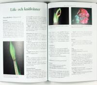 TR&Auml;DG&Aring;RDENS V&Auml;XTSKYDD &bull; Askskottsjuka &bull; Bladl&ouml;ss &bull; Frukttr&auml;dskr&auml;fta &bull; K&aring;lfj&auml;ril &bull; Potatisbladm&ouml;gel &bull; Sk&ouml;ldl&ouml;ss