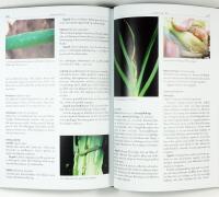 TR&Auml;DG&Aring;RDENS V&Auml;XTSKYDD &bull; Askskottsjuka &bull; Bladl&ouml;ss &bull; Frukttr&auml;dskr&auml;fta &bull; K&aring;lfj&auml;ril &bull; Potatisbladm&ouml;gel &bull; Sk&ouml;ldl&ouml;ss