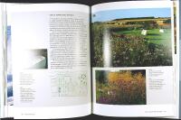 MAKING THE MODERN GARDEN