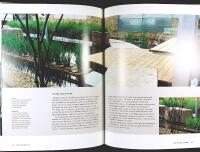 MAKING THE MODERN GARDEN