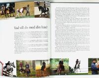 HORSEMANSHIP