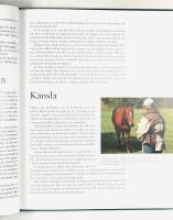 HORSEMANSHIP