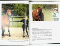 HORSEMANSHIP