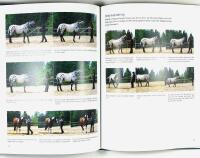 HORSEMANSHIP