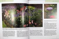SOMMARBLOMMOR &ndash; f&ouml;rnya i rabatter och krukor