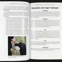RETRIEVERTR&Auml;NING P&Aring; MITT S&Auml;TT &ndash; L&auml;r k&auml;nna din retriever och anpassa tr&auml;ningen efter just din individ