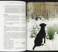 RETRIEVERTR&Auml;NING P&Aring; MITT S&Auml;TT &ndash; L&auml;r k&auml;nna din retriever och anpassa tr&auml;ningen efter just din individ