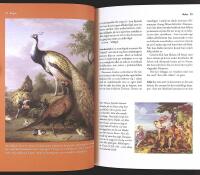 Klassiska SYMBOLER &ndash; En uppslagsbok