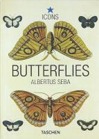 BUTTERFLIES & Insects &ndash; Albertus Seba
