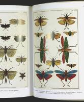 BUTTERFLIES & Insects &ndash; Albertus Seba