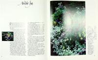 NORDISKT LJUS OCH ITALIENSK HETTA &ndash; Sommarblommor &agrave; la G&ouml;teborgs Botaniska Tr&auml;dg&aring;rd