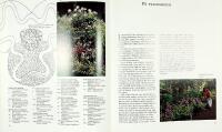 NORDISKT LJUS OCH ITALIENSK HETTA &ndash; Sommarblommor &agrave; la G&ouml;teborgs Botaniska Tr&auml;dg&aring;rd