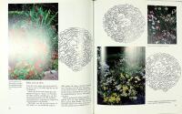 NORDISKT LJUS OCH ITALIENSK HETTA &ndash; Sommarblommor &agrave; la G&ouml;teborgs Botaniska Tr&auml;dg&aring;rd