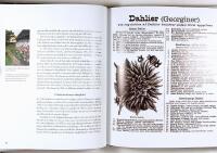 DAHLIOR