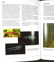 FR&Aring;N ARAPAIMA TILL &Ouml;GONFL&Auml;CKSRASBOA &ndash; En grundbok i akvaristik