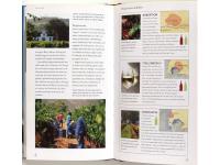 Vinguiden : en introduktion f&ouml;r nyb&ouml;rjare