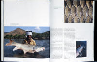 THE ADVENTUROUS FLY ROD &ndash; A DECADE OF FISHING IN THE STREAMS OF 45 COUNTRIES AND STATES.