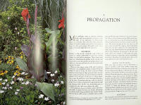 The Gardener's Guide to Growing CANNAS